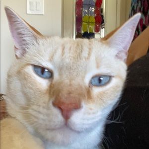 Meet your Posher, Renae